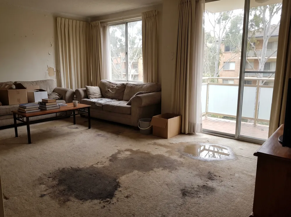 Illustrative: an apartment living area with water-damaged carpet, before remediation